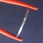 100 Cruzeiros Reais 1993 Soberba LOBO GUARA - Imagem 3