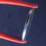 10 Cruzeiros Reais 1993  Soberba TAMANDUÁ - Imagem 3