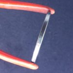 5 Cruzeiros Reais 1993 Soberba  ARARA - Imagem 3