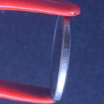 100 Cruzeiros 1993  Soberba PEIXE BOI - Imagem 3