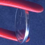 5  Centavos 1989  Aço Inox  FC  PESCADOR - Imagem 3