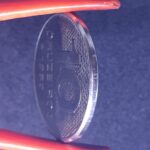 10 Cruzeiros 1982 Aço Inox  FC  INTEGRAÇÃO NACIONAL - Imagem 3