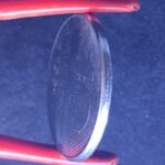 10 Cruzeiros 1981 Aço Inox  Soberba  INTEGRAÇÃO NACIONAL - Imagem 3