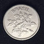 1 Centavo 1982  Aço Inox  FC  SOJA - Imagem 2