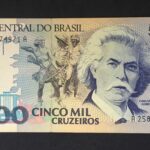 C 219 - CÉDULA  5000 CRUZEIROS  1990 - BANCO CENTRAL DO BRASIL  - CMB  - FE