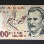C 225 - CÉDULA  10000 CRUZEIROS  1993 - BANCO CENTRAL DO BRASIL  - CMB  - Soberba