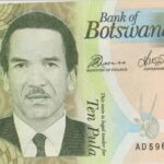 P 30 - Botswana - 10 pula - 2014 - FE