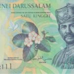 P 35 - Brunei - 1 Ringgit - 2013 - FE