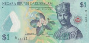 P 35 - Brunei - 1 Ringgit - 2013 - FE