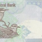 P 20 - Catar - 1 One Riyal  - 2008 - FE