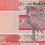 P 37-  GAMBIA 5 DALASIS 2019 FE