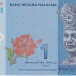 P 51b - MALASIA  1 RINGGIT (2011-2015)  FE