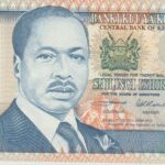 P 32 -  KENIA  20  SHILINGS  1995 FE