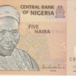 P 38c - NIGERIA 5 NAIRA 2011  FE