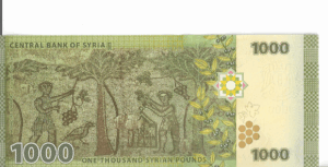 P 116 - SIRIA 1000 POUNDS 2013 FE