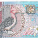 P 146 -SURINAME  5 GULDEN  2000 FE