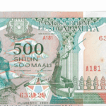 P 36c - SOMALIA  500 SHILING 1996 FE