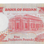 P 45 - SUDAO 5 SUDANESE POUND 1991  FE