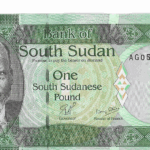 P 5 - SUDAO  DO SUL 1 SUDANESE POUND 2011  FE