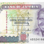 P 34 - ZAMBIA  100  KWACHA 1991 FE