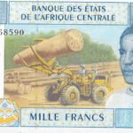 P07a- Camarões  1000 Francs - 2002 - FE