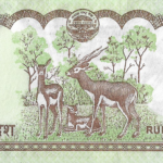 P 61 -  NEPAL 10 RUPEES (2008-2015) FE