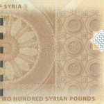 TBB#635- SIRIA 200 POUNDS 2021 FE