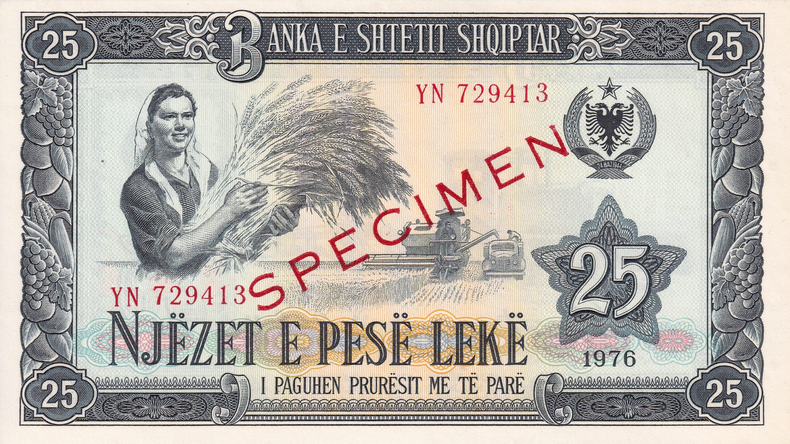 P37s P 37s - AlBANIA - 25 Nje Lek, 1964, SPECIMEN - FE - Imagem 1