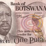 P 01 - Botswana - 1 pula - 1976 - FE